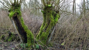 P1370895