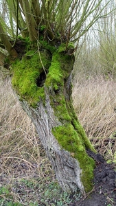 P1370900