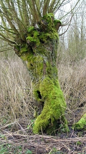 P1370901