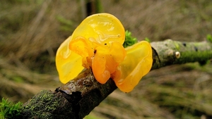 P1370903