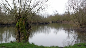 P1370920