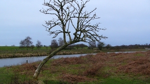 P1380002