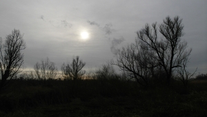 SAM_2274