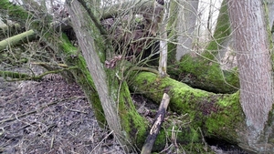 SAM_2276