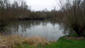 SAM_2292