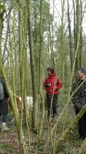 Wandeling De Utrecht 223