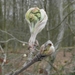Wandeling De Utrecht 233
