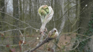 Wandeling De Utrecht 233