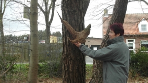 Wandeling De Utrecht 244