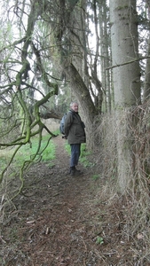 Wandeling De Utrecht 259