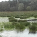 Wandeling De Utrecht 262