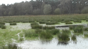 Wandeling De Utrecht 262