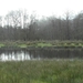 Wandeling De Utrecht 265