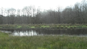 Wandeling De Utrecht 265