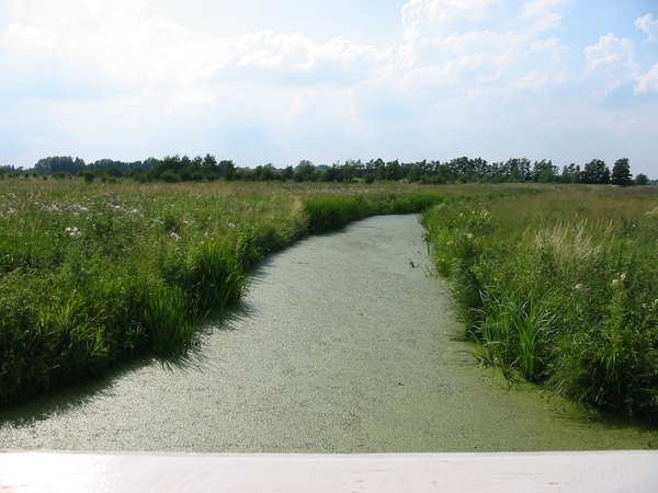 VERKENNING ZOUWEBOEZEM 10