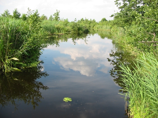 VERKENNING ZOUWEBOEZEM 14