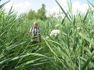 VERKENNING ZOUWEBOEZEM 17