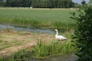 VERKENNING ZOUWEBOEZEM 26