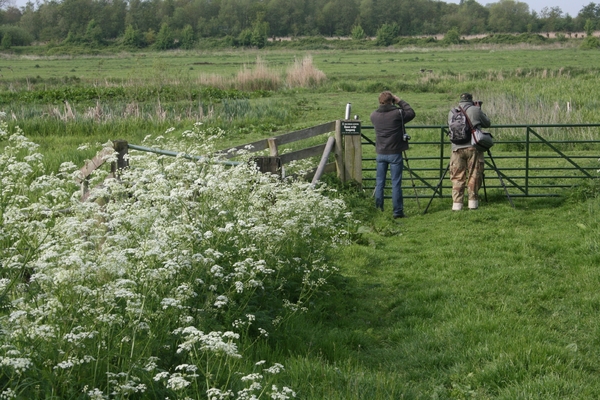 VERKENNING ZOUWEBOEZEM 31