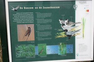VERKENNING ZOUWEBOEZEM 35