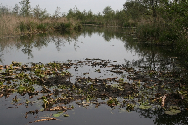 VERKENNING ZOUWEBOEZEM 36