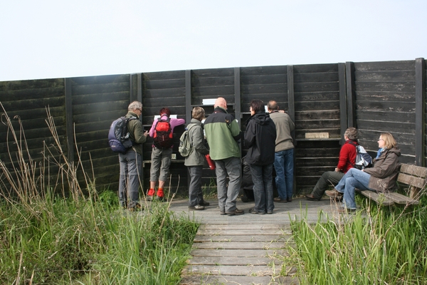 VERKENNING ZOUWEBOEZEM 37