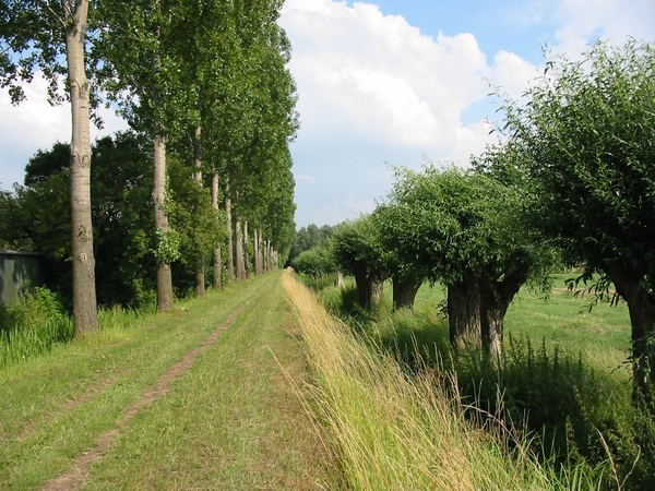 VERKENNING ZOUWEBOEZEM 4