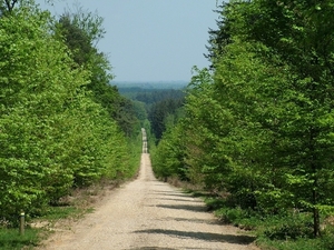 VERKENNING ZOUWEBOEZEM 44