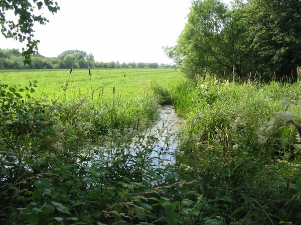 VERKENNING ZOUWEBOEZEM 9