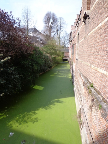 Groen Waterke