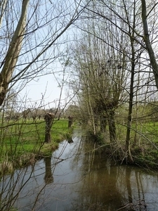 15-Natuurgebied rond de visvijver