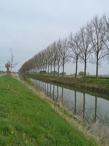 56-Langs de oevers van Kanaal van Schipdonk