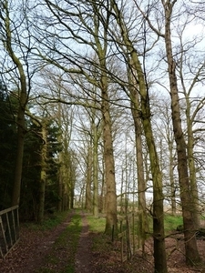 67-Natuurgebied achterzijde v.h.kasteeldomein-Dons-Vellare