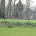 2014-03-31 Voorde 47