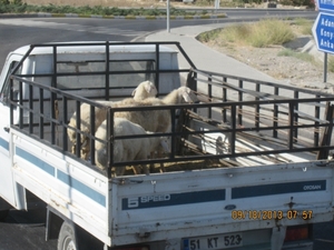 Cappadocie 2013 252