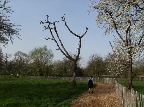 Antw Torhout 2014 020