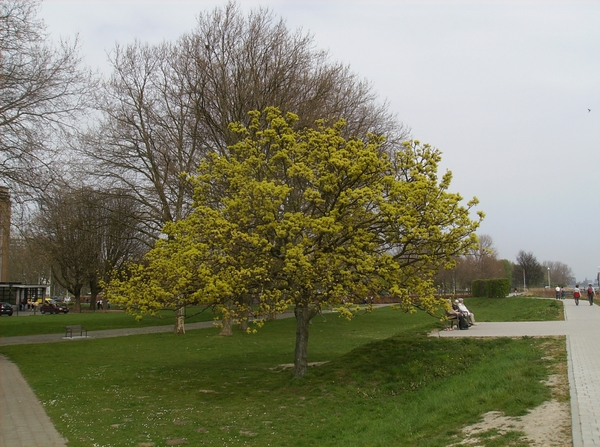 Antw Torhout 2014 041