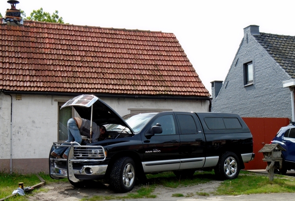 DSC01019 Zandvliet Dodge Rammer1500