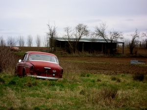 DSCN4398_Volvo-Amazon-rood-intVeld