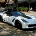 DSC05424_Chevrolet-Corvette_Targa___Stingray