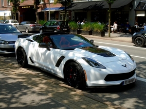 DSC05424_Chevrolet-Corvette_Targa___Stingray