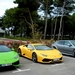 DSCN5228_Lamborghini-LP610-4_Spider-groen-geel_Arme-CZ_1TC-1730_1