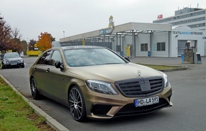 DSCN4745_Mercedes_Goud-kameleon_HD-LA-591