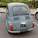 IMG_9398_oldtimer_Fiat-500-nuova_TS-90064
