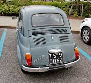 IMG_9398_oldtimer_Fiat-500-nuova_TS-90064