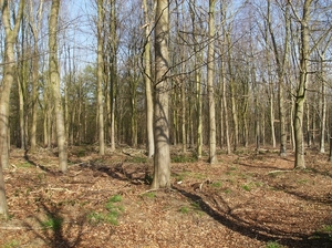 Antw Torhout 2014 061