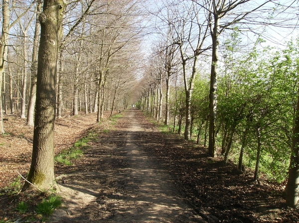 Antw Torhout 2014 062