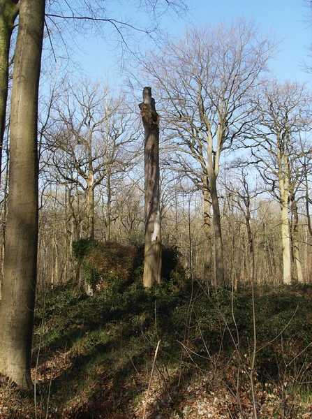 Antw Torhout 2014 077