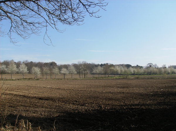 Antw Torhout 2014 080