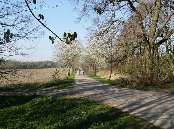 Antw Torhout 2014 092